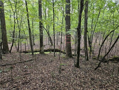 Open woods