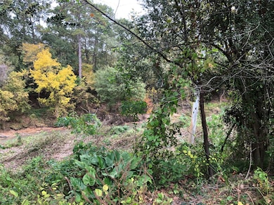 10102 Briar Dr, Houston, TX 77042 - photo 3