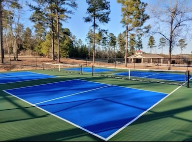Neighborhood pickleball courts