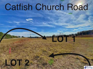 Lot 1 Catfish Church Rd, Latta, SC 29565 - photo 3