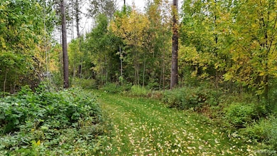 TBD19 Norwich Rd, Ontonagon, MI 49953 - photo 5