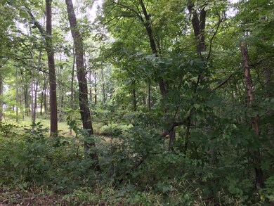 0 Tolliver Rd unit Lot A 216031333, Logan, OH 43138 - photo 5