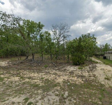 3227 W Kirkwood Place, Dunnellon, FL 34433 - photo 6