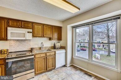 1404 Newport Spring Ct, Reston, VA 20194 - photo 4