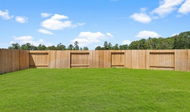 18739 Creek Falls Ln, Magnolia, TX 77355 - photo 4