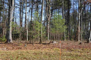 17 Bowtie, Hooksett, NH 03106 - photo 3