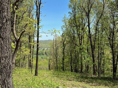 4.08AC Seely Rd, West Fork, AR 72774 - photo 2