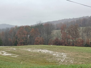 100 Nora Way unit N, Leitchfield, KY 42754 - photo 2