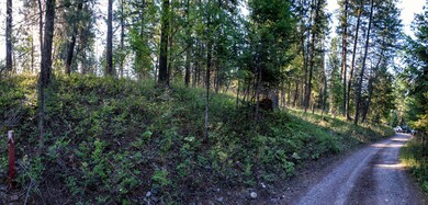 828 Abbott Village Dr, Bigfork, MT 59911 - photo 4