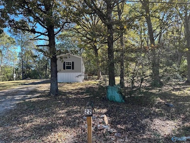 22 Joyce St, Somerville, AL 35670 - photo 2