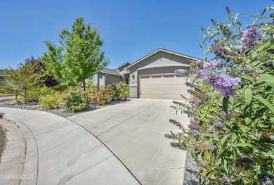 3-web-or-mls-2281-big-bird-dr
