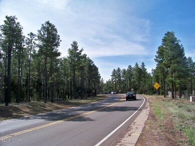 951 S Central Ave, Show Low, AZ 85901 - photo 5