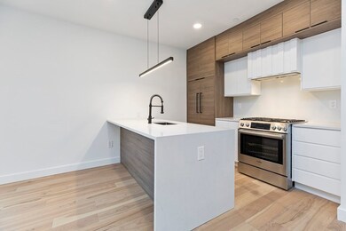118 Spring St unit 2, Cambridge, MA 02141 - photo 4