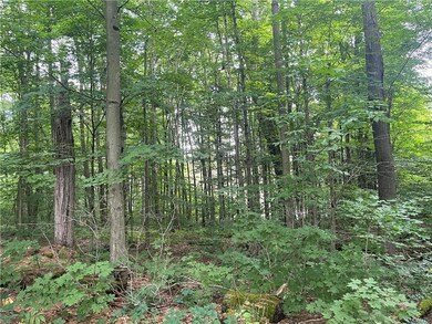 0 State Route 13 unit S1498337, Albion, NY 13302 - photo 5