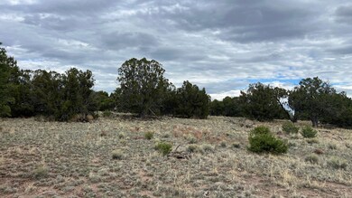 0 Squaw Pass unit 24661344, Quemado, NM 87829 - photo 7