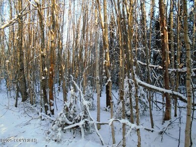 L2 Shearwater St, Knik-Fairview, AK 99654 - photo 3