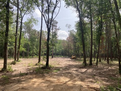 0 Miller Rd, Magnolia, TX 77354 - photo 4