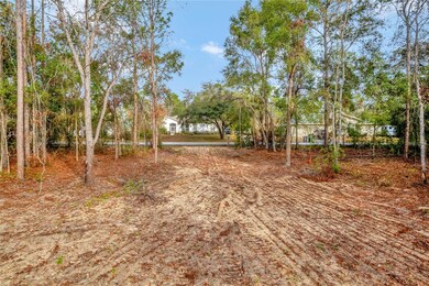 1716 E Bismark St, Hernando, FL 34442 - photo 6