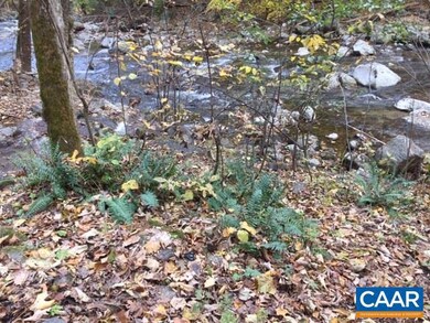 TBD Crabtree Falls Hwy, Tyro, VA 22976 - photo 5