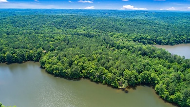 1607 Sturdivant Rd, Jacksons Gap, AL 36861 - photo 7