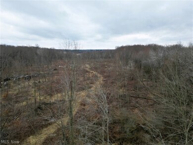 6990 Woodard Rd, Andover, OH 44003 - photo 4