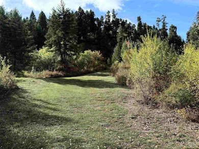 289 Freedom Way, Kooskia, ID 83539 - photo 6