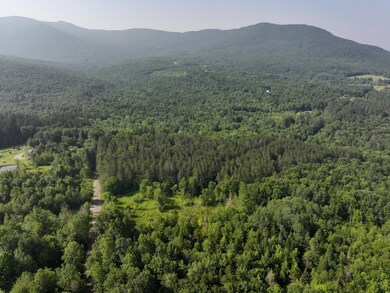 0 Amidon Rd, Montgomery, VT 05471 - photo 5