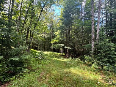 1.6 Farr Rd unit 6, Ohio, NY 13324 - photo 3