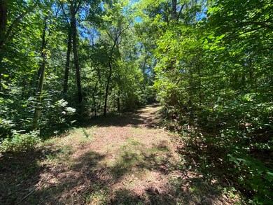 13 & 13A River Trail, Martin, GA 30557 - photo 7