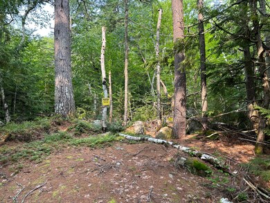 IMG-7669