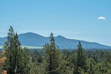 5200 SE Sunny Sage Way, Redmond, OR 97756 - photo 2