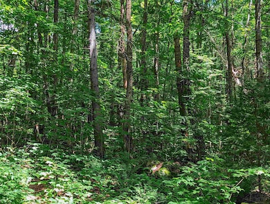 0 Alpendorf Ave, Readsboro, VT 05350 - photo 7
