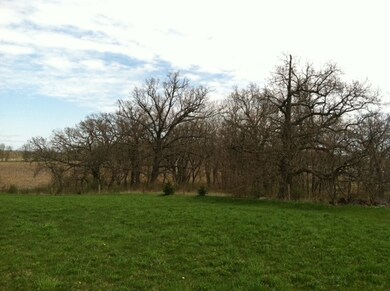 Lot 2 Benson Rd, Brooklyn, WI 53521 - photo 4