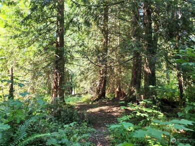 24908 144th Ave E, Graham, WA 98338 - photo 4