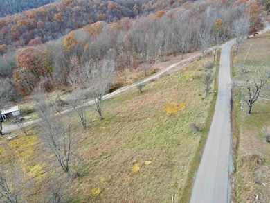 1945 Wilson Ridge Rd, Duck, WV 25063 - photo 5