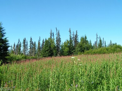 000 Clyde Thomas Ave, Anchor Point, AK 99556 - photo 4