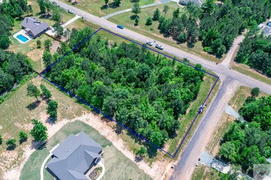 0 Daniel Lee Ln, Texarkana, TX 75501 - photo 4