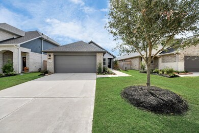 20943 Carob Tree Ln, Tomball, TX 77377 - photo 4