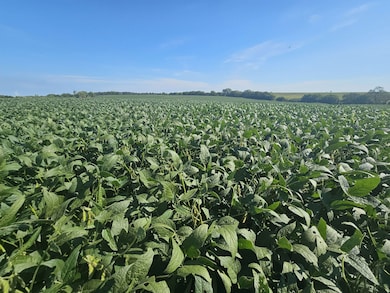 001 160th St, Elmo, MO 64445 - photo 3