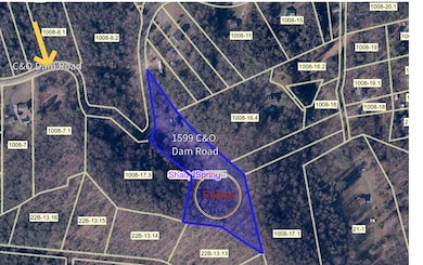 1599 C and O Dam Rd, Daniels, WV 25832 - photo 6