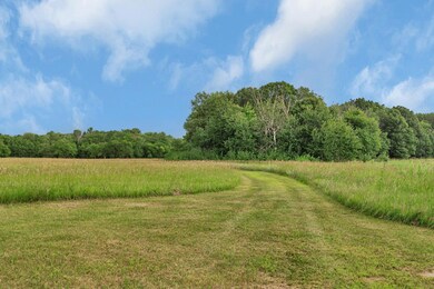 5118 County Road 85, Santiago Township, MN 55308 - photo 5