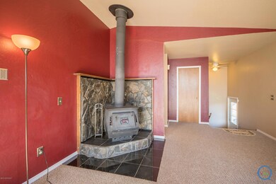 Wood burning Stove
