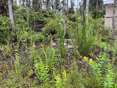 Beautiful Orchids & flowers