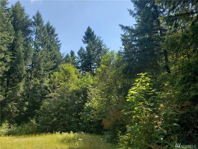 17226 Bald Hill Rd SE, Yelm, WA 98597 - photo 3