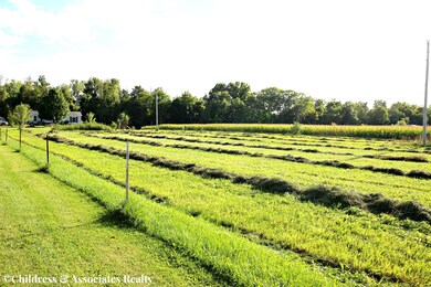 Yard 1