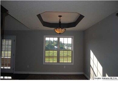 Eat in area with tray ceiling