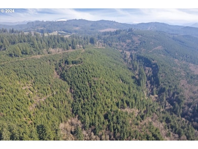 0 NE Cedar Mist Rd, Amboy, WA 98674 - photo 7