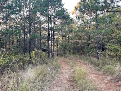 0 Willys Cir unit 11610692, Moyers, OK 74557 - photo 6