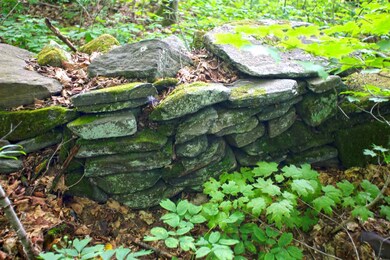 910 Maple Ln, West Danville, VT 05873 - photo 6