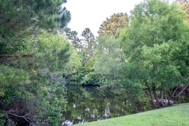back yard fishing pond